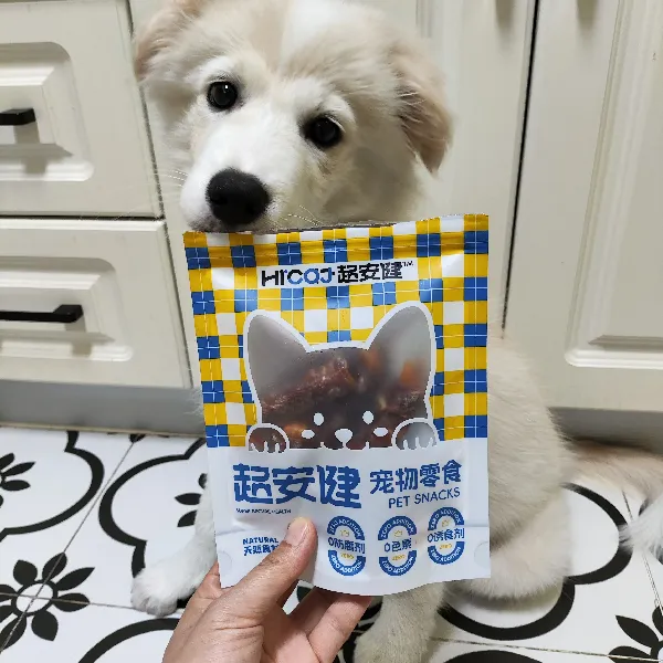 铲屎官必看!狗狗磨牙解馋宝藏零食!