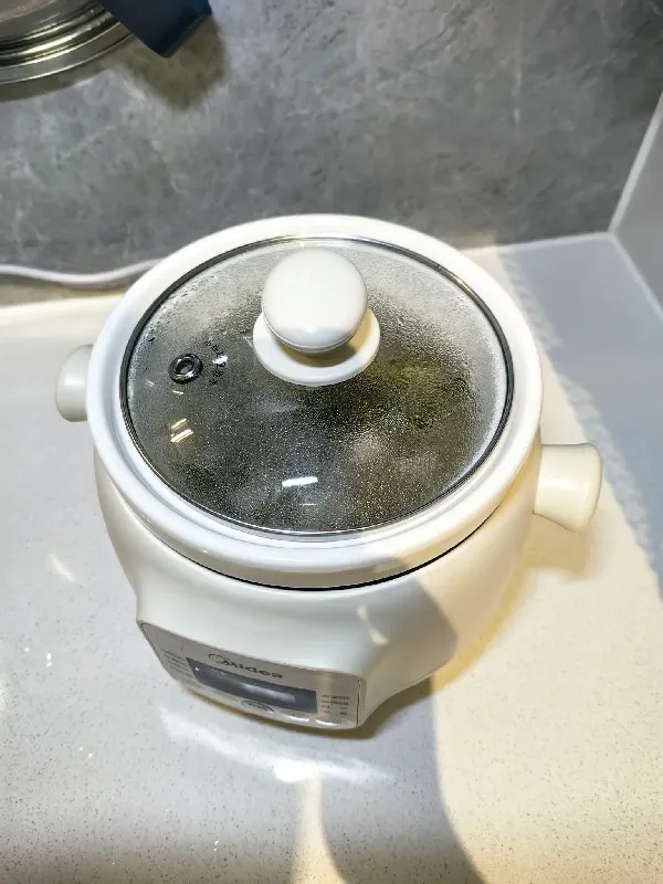 找不到比它更适合一人食的电炖锅了!!