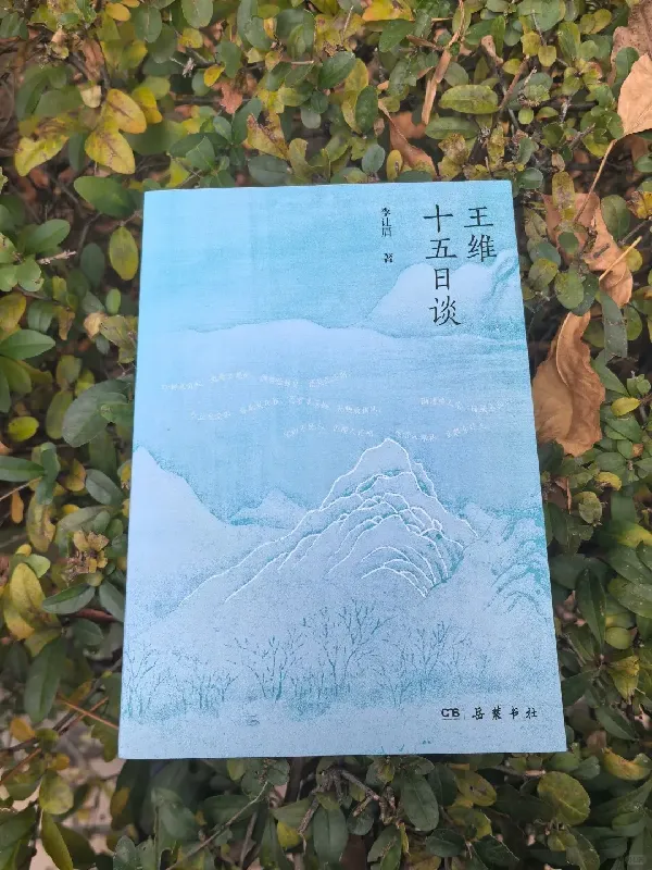 舒适优雅,这个家没它真不行😭
