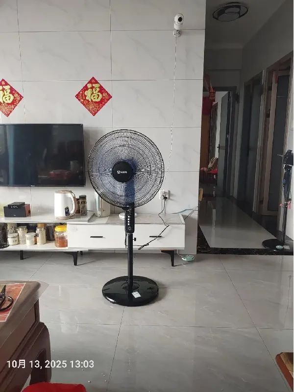 美丽特教你选对风扇✨