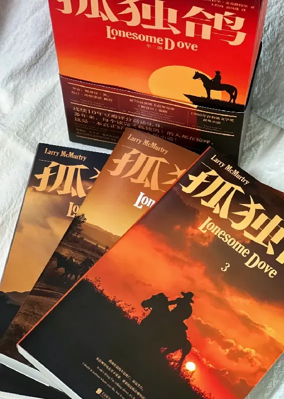 🕊️一旦开始阅读 便难以停止