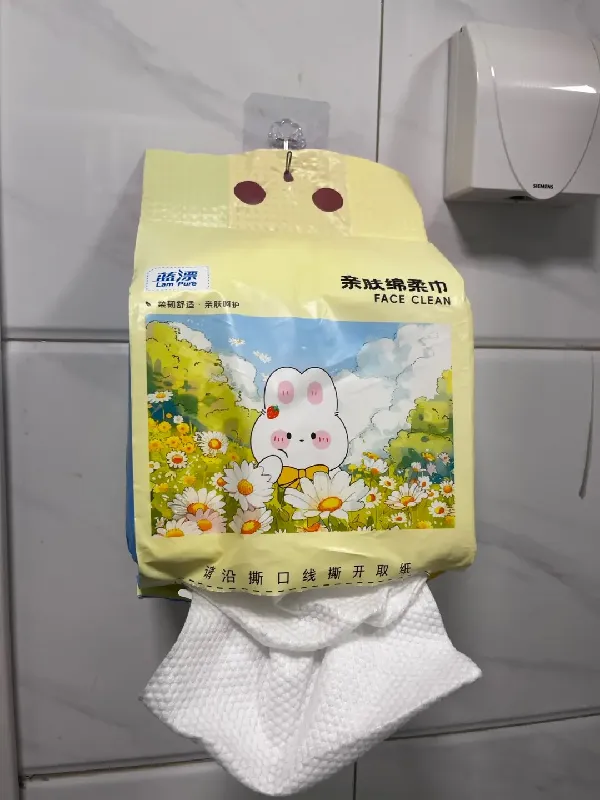 30 岁精致猪猪女孩必备~让洗脸都成为一种享受