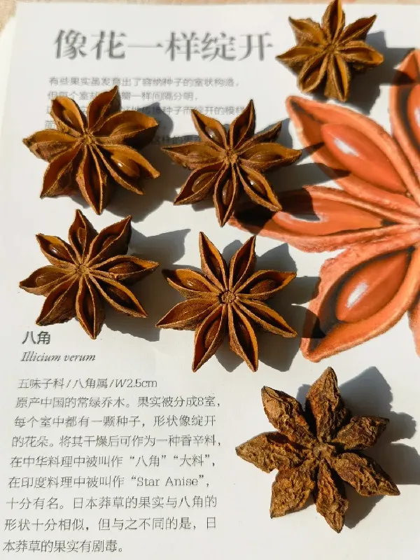 八角星人狂喜!去异味提鲜香,厨房必备宝藏调料