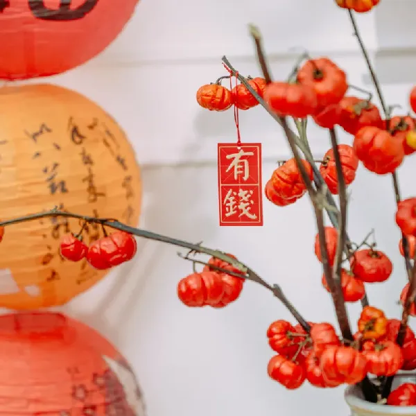 谁懂啊！这氛围感鲜花直接把万圣节氛围拉满~