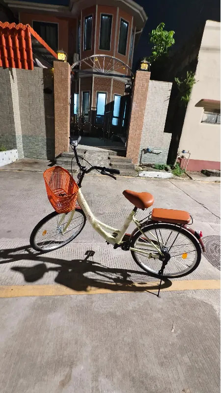 这自行车,我要跟它锁死!