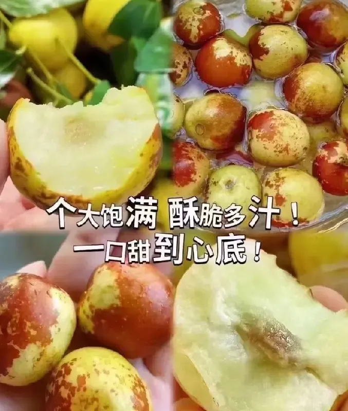 一键开启脆甜好滋味✔快来get这款时令水果公式