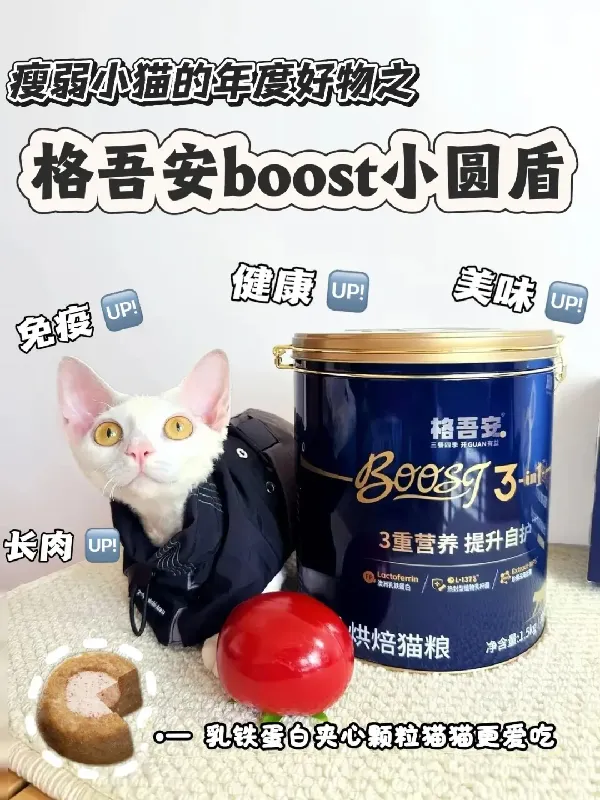 瘦弱小猫的年度好物——格吾安boost小圆盾
