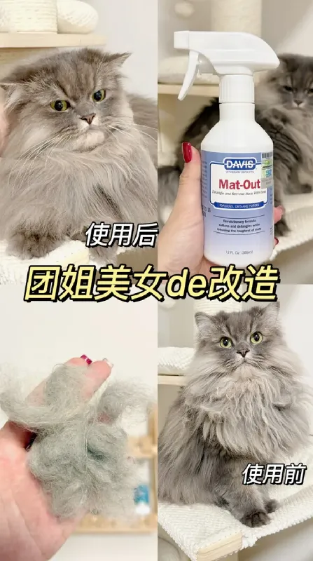 猫咪清洁神器,一抹告别油尾巴黑下巴‼