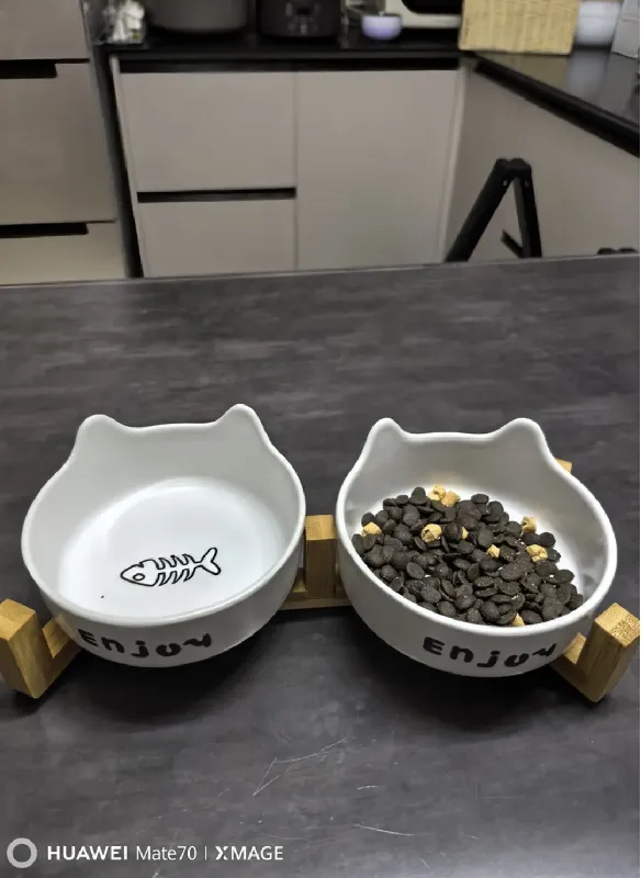 没用过这碗…永远不知道猫咪干饭能有多快乐!