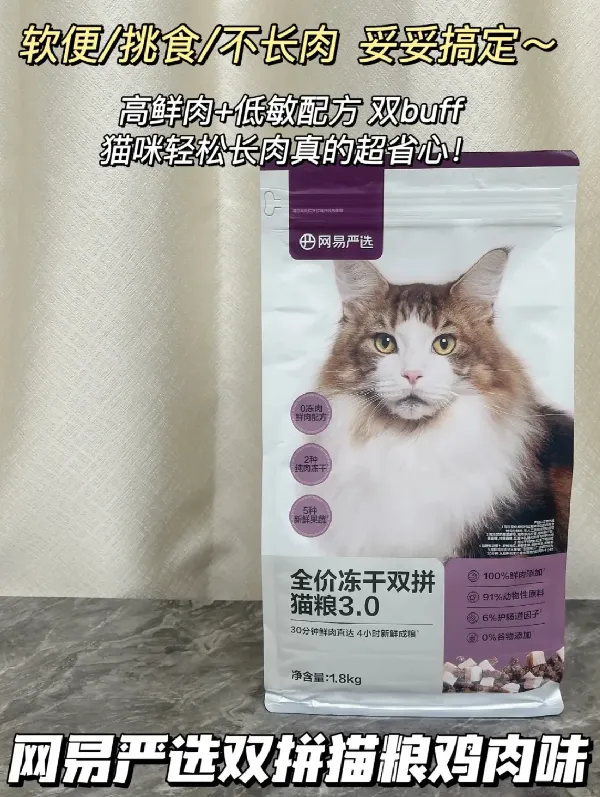 实测有效！猫咪长肉就靠这口粮
