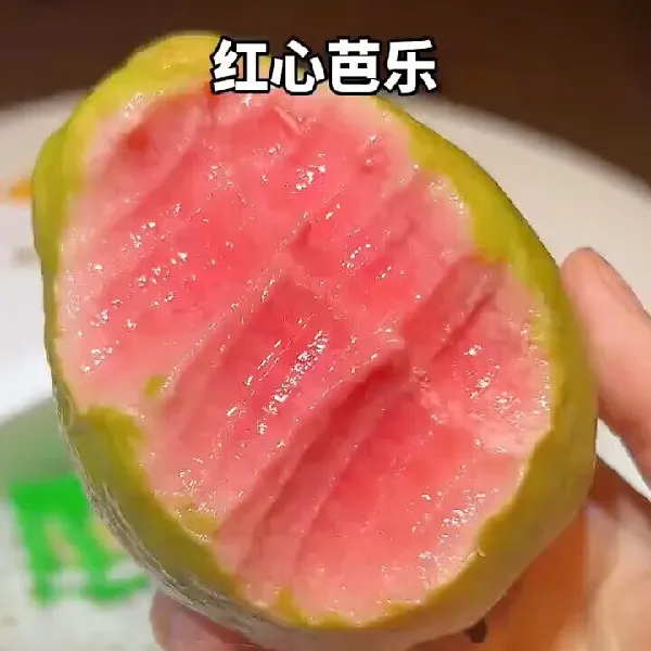 京喜加潮汕特产红心芭乐了解一下!