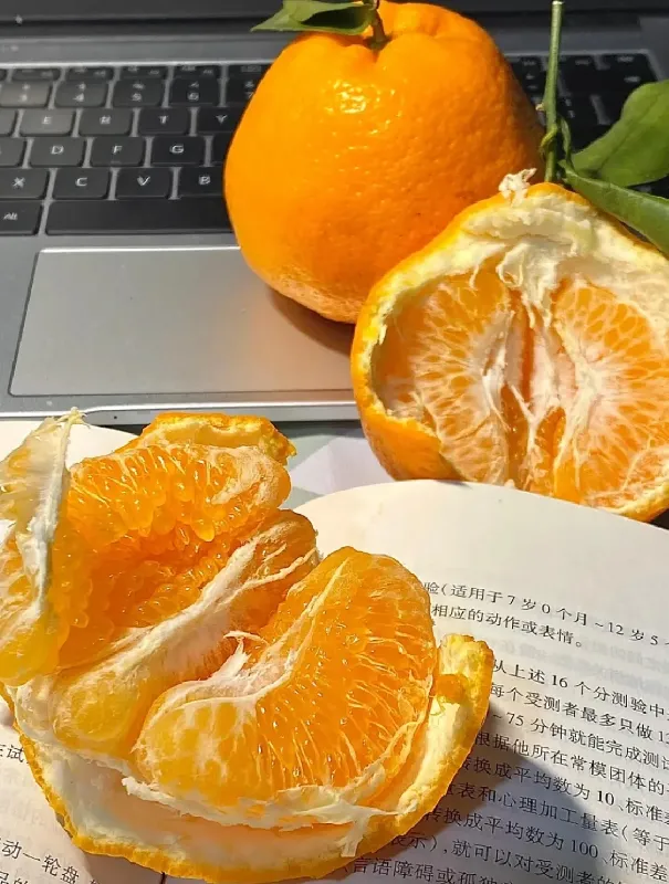 柑橘脑袋🔒死它！耙耙柑界的扛把子巨巨巨好吃