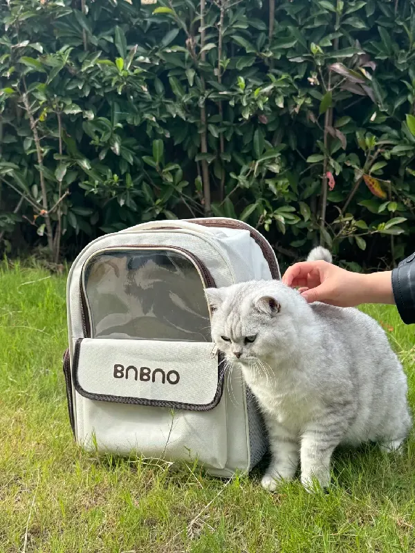 这是带猫猫出门的神器吧？BNBNO宠物包好牛！