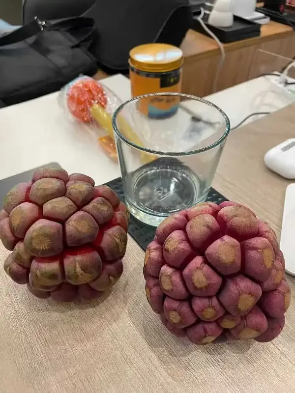黑老虎布福娜水果选择纠结症?看这篇就够啦