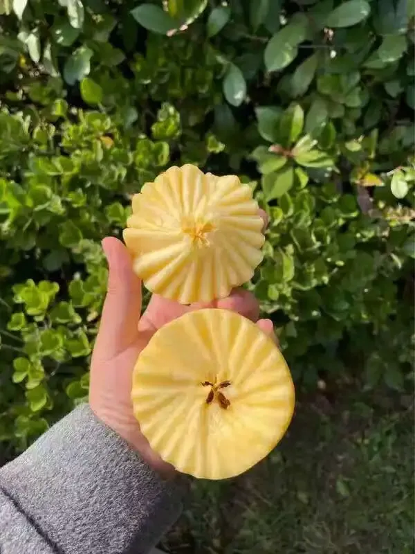 苹果买错品种了?这个选择拯救你✅