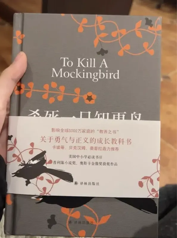 新年的第一本书:杀死一只知更鸟