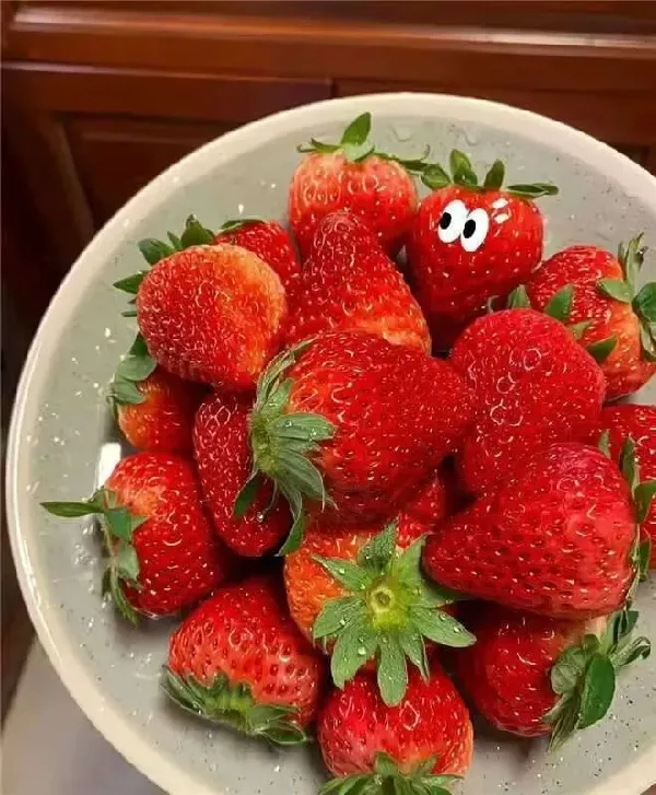 草莓脑袋看过来！求求爱吃草莓的一定试试！
