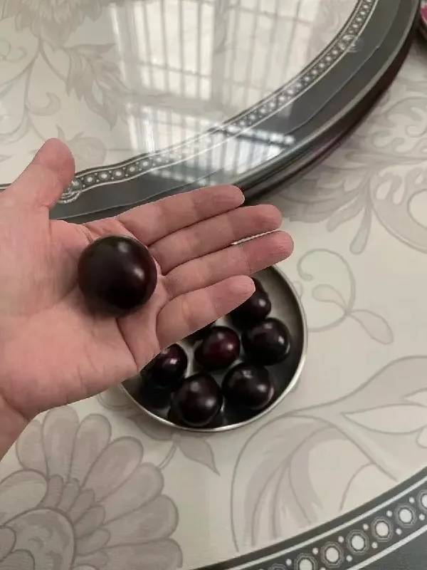 智利车厘子选晕啦?看这篇全明白!