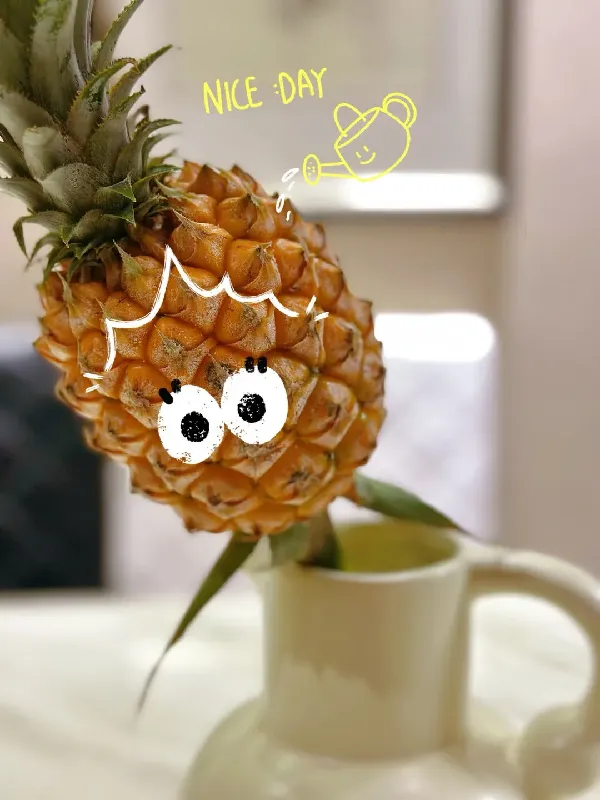 实现菠萝自由的㊙️笈!水培菠萝超有趣!
