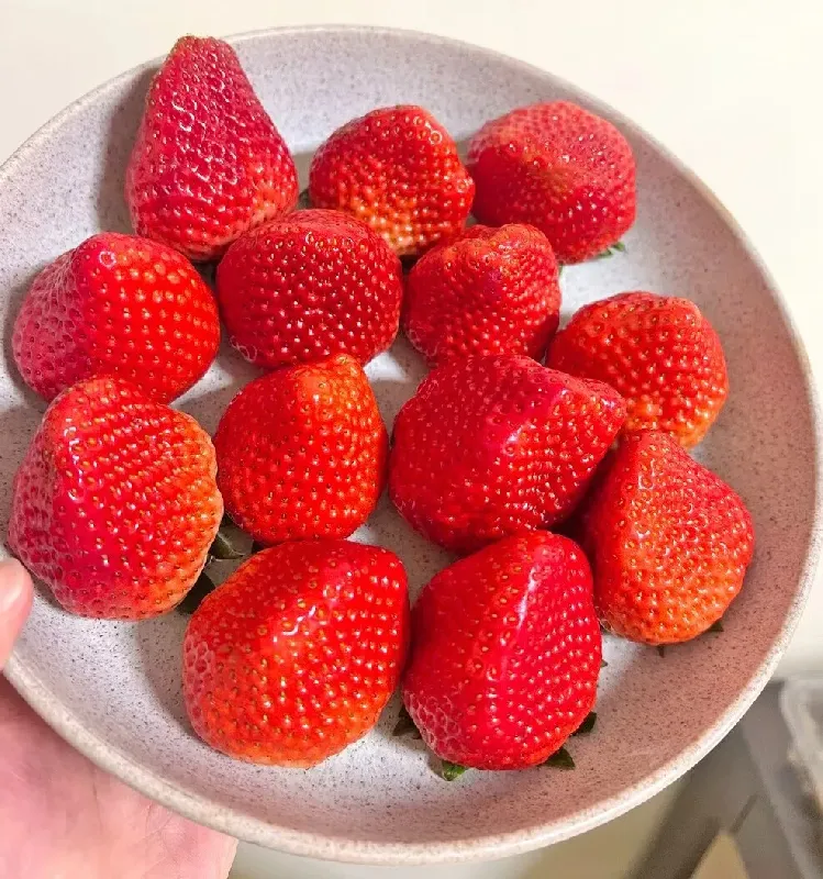 垮脸甜食脑袋必备!百元内草莓界“抗垮”选手申请出战!