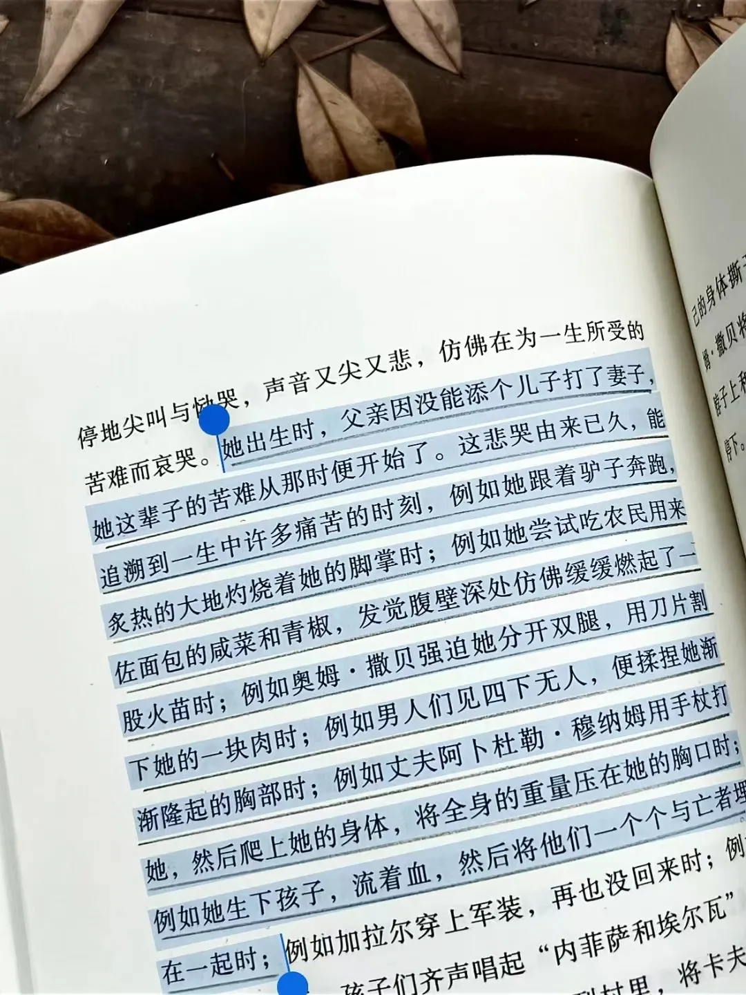 豆瓣9.2!!这是我今年读过最好的一部作品!!