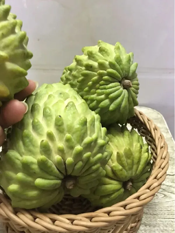 水果控尖叫!!别再乱买释迦果了!