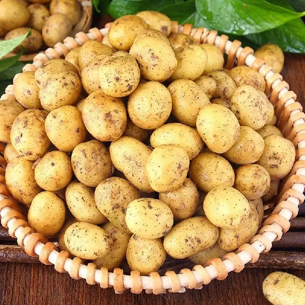 被我挖到!土豆在日常中的隐藏 “宝藏” 用法
