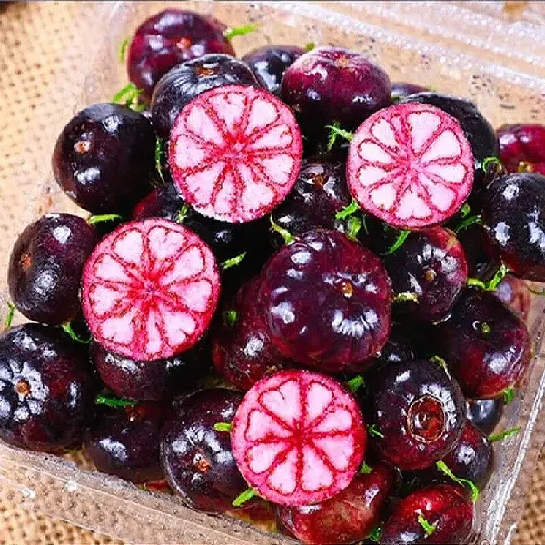 水果控天菜!云南红果参一口惊艳!