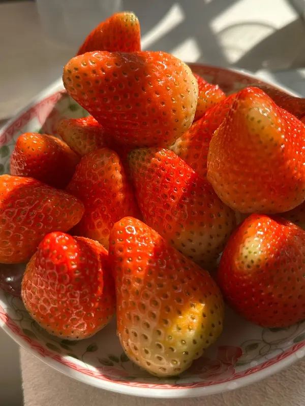 实现草莓自由!这3斤草莓承包我一周快乐!