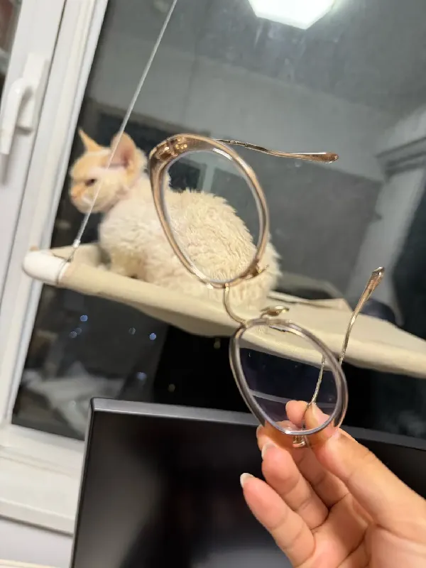 眼镜怎么选❓ 根据自己的脸型挑更准！