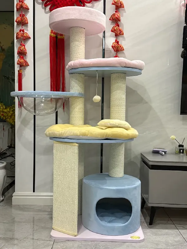 几十块💰的猫爬架真的绝了好不！