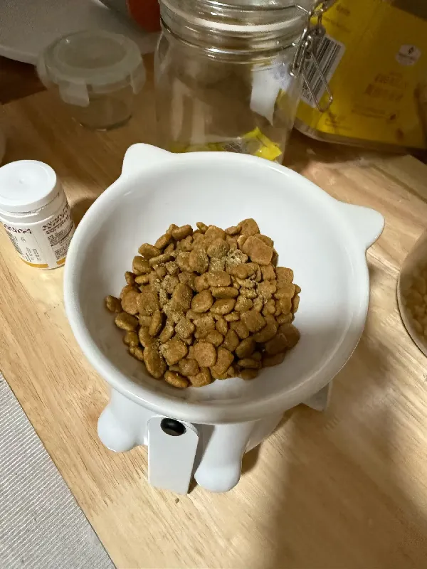 在慵懒的午后