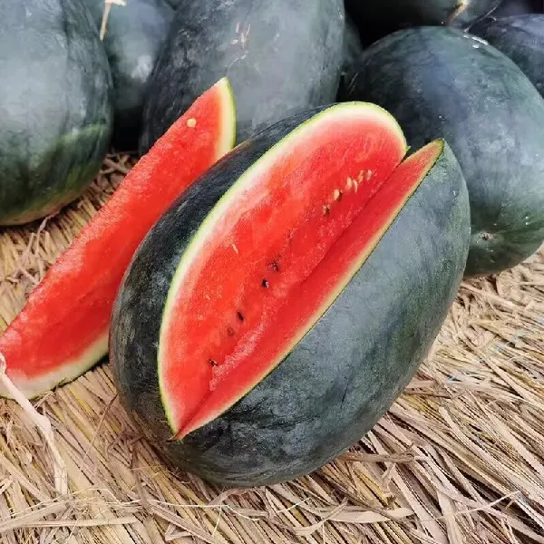 🍉黑美人西瓜の清甜夏日|消暑美味补给站