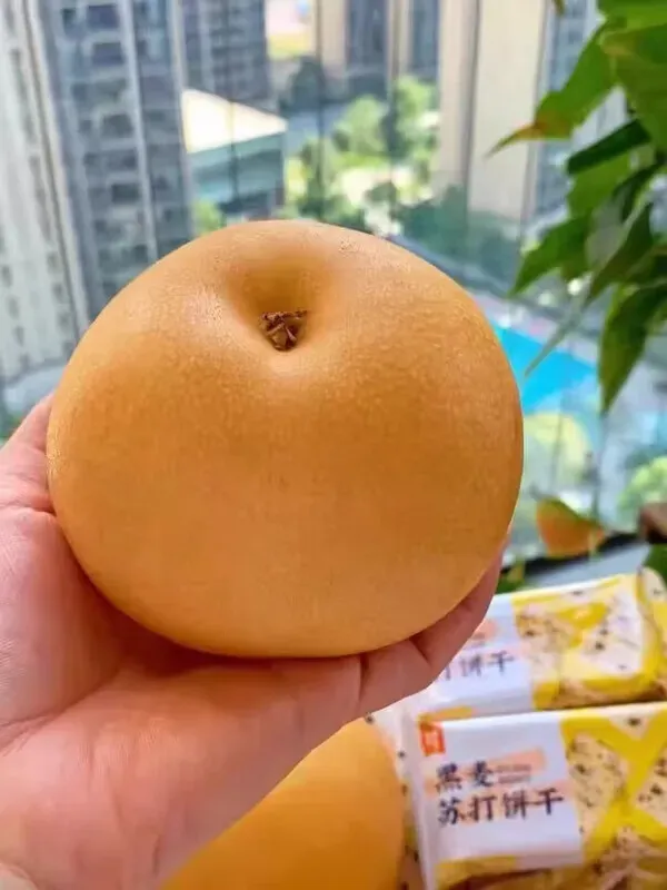 嗯?这一口清甜多汁你能不爱了!!