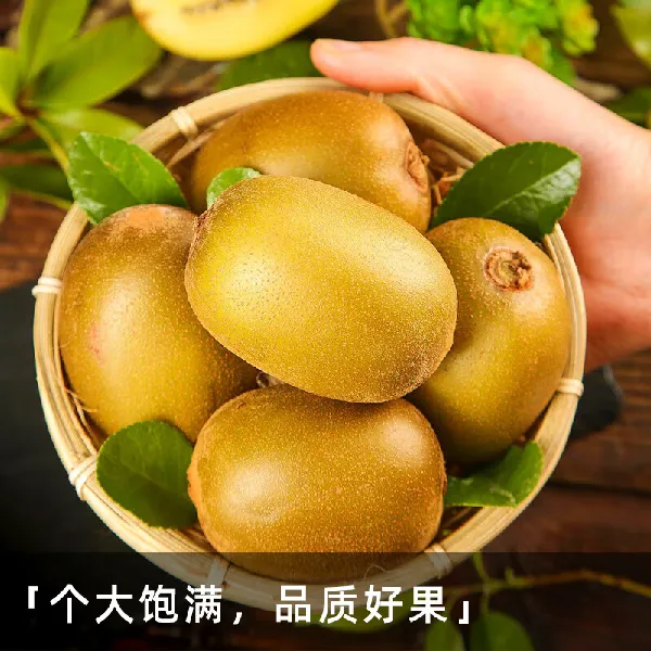 被这个猕猴桃惊艳到了!性价比超高💰