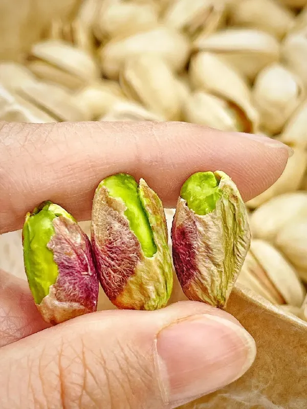 年货精选🎁 | 绿山情开心果，开启满满幸福年