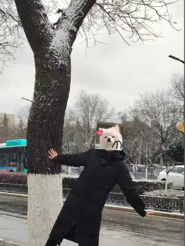 ❄️PLOG|新人博主第10天｜冬日温暖碎片🔁