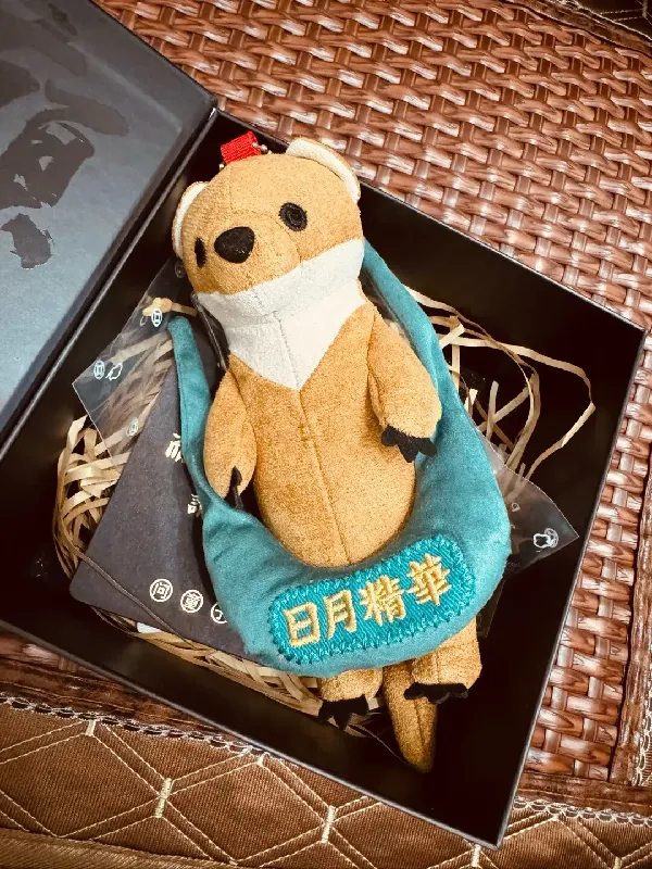几十块💰超可爱！挂哪都好看！这玩偶锁死我心头