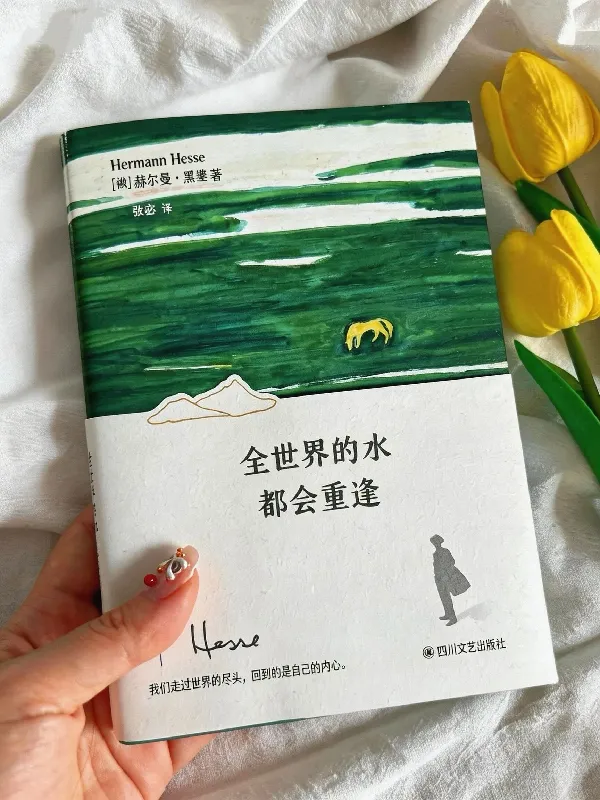 🌟灵魂疲惫的大人们!都去读黑塞!!!