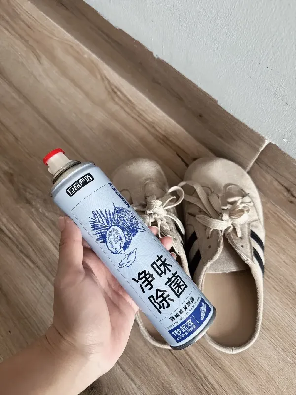 铲屎星人的福音 # PLOG|新人第n天从异味战场到清新小窝