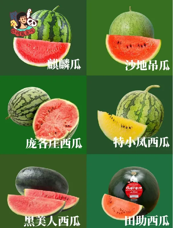 吃瓜千千万,最好吃的西瓜你知道是哪款吗?