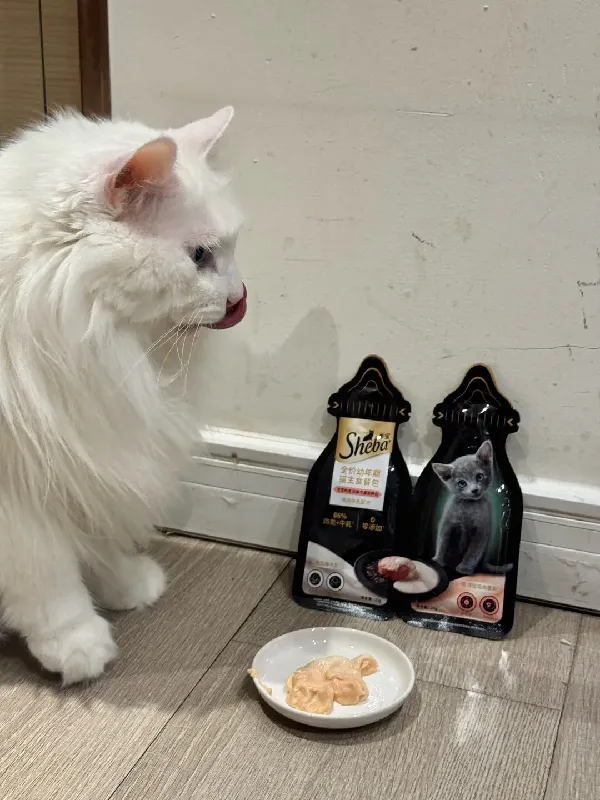 幼猫猫粮宝藏之选！营养实力双双在线😻