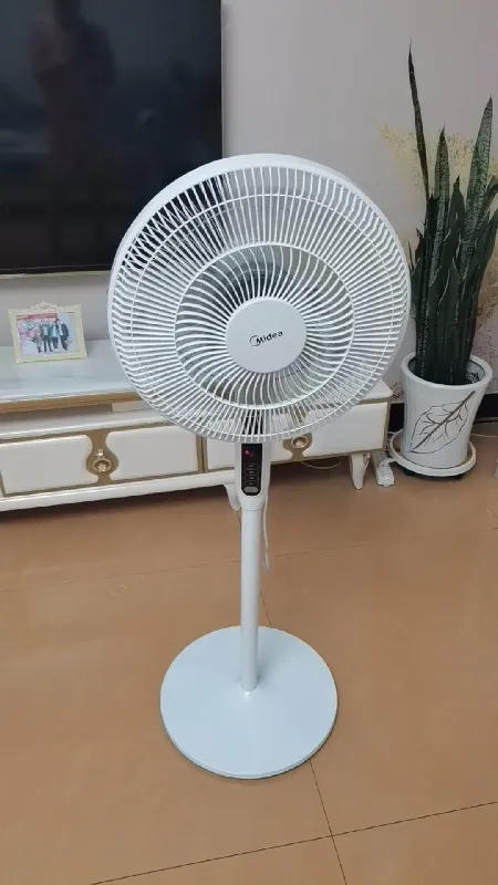 服了，这风扇清凉这么强的。。。。。