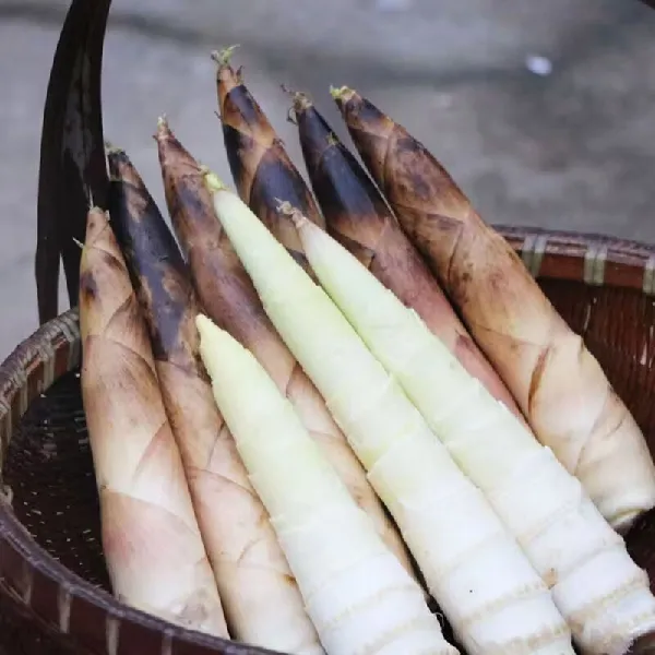 超鲜美的时令美食教程来咯！爱吃笋的宝子们别错过~