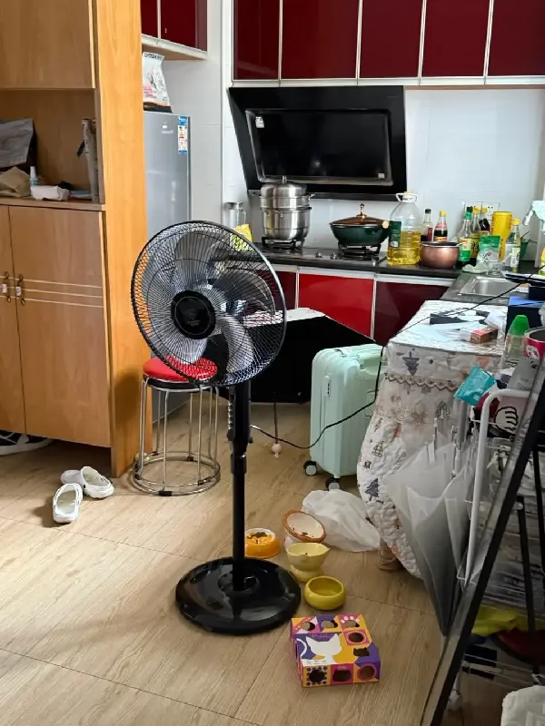 最近入了两款风扇，来给宝子们说道说道。