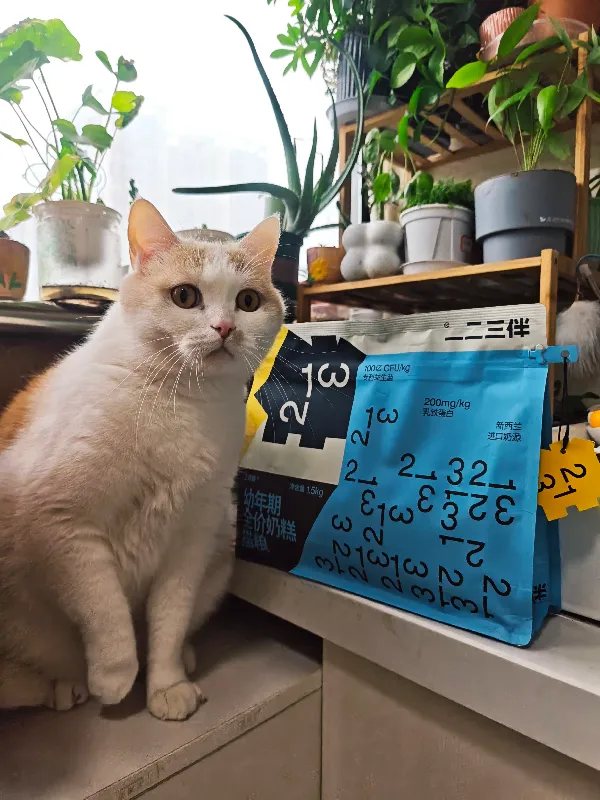 40% 粗蛋白!猫咪吃了发腮爆毛!