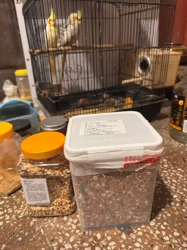 一图速览乖卷鹦鹉饲料怎么选👆