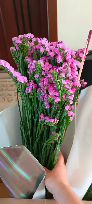 一键实现鲜花自由✔快来get这款宝藏花材