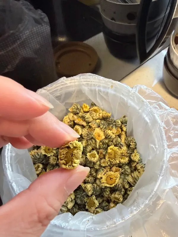 给爸妈的暖心茶礼🎁不到百元！福茗源特级胎菊250g大罐装