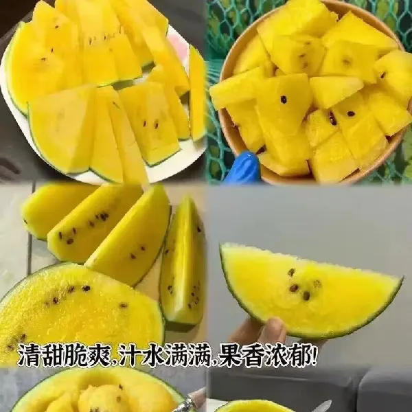 特小凤西瓜怎么挑,才清甜又多汁?